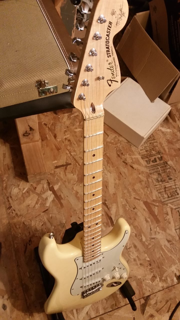 Body and neck, pre-assembly. Building the instrument and building what it plugs into are the same hobby wearing different hats.