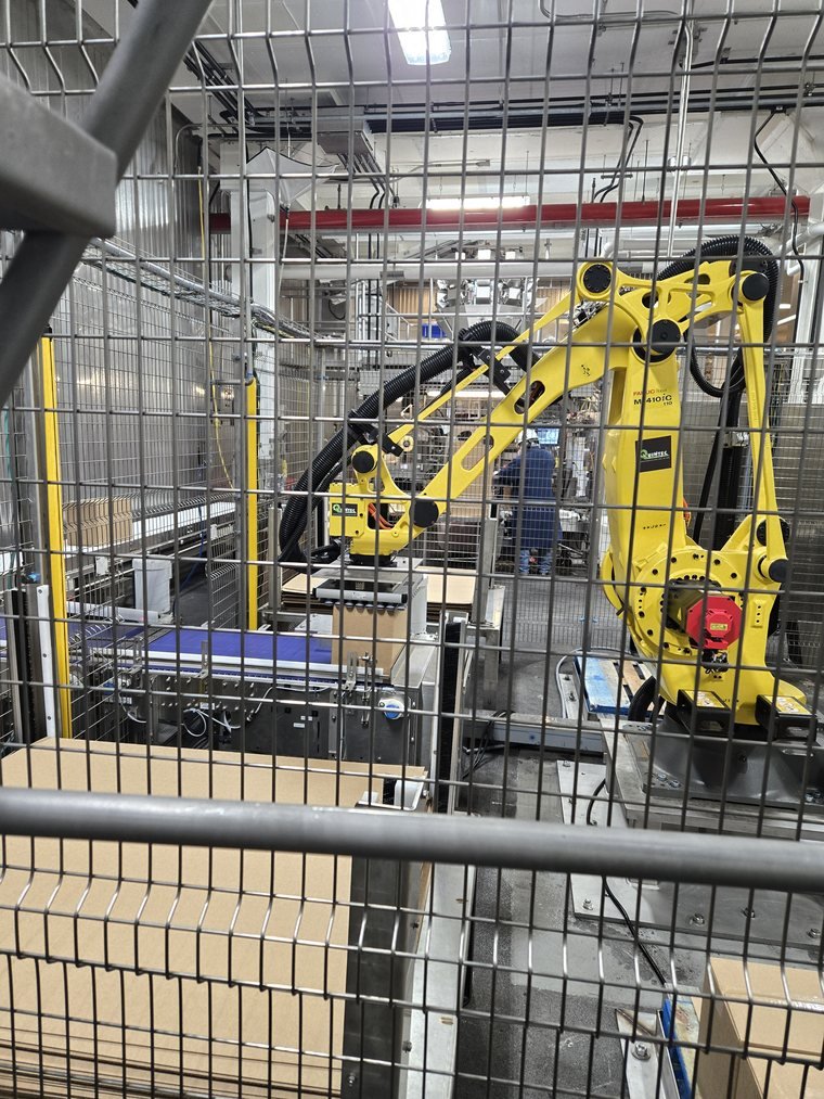 Infeed side. Everything the robot does is downstream of product arriving correctly.