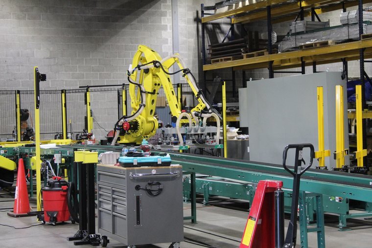 Cells in a row, each one an independent machine that still has to agree with its neighbors about timing.