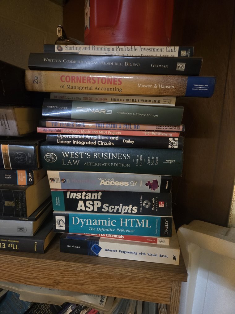 Shelf with accounting, business law, physics and programming books